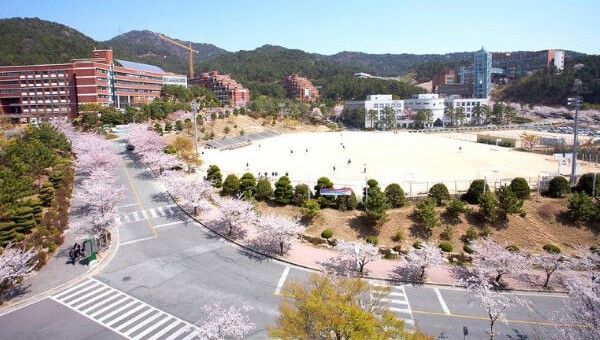 Một số đặc điểm nổi bật của trường Silla Một số đặc điểm nổi bật của trường Silla